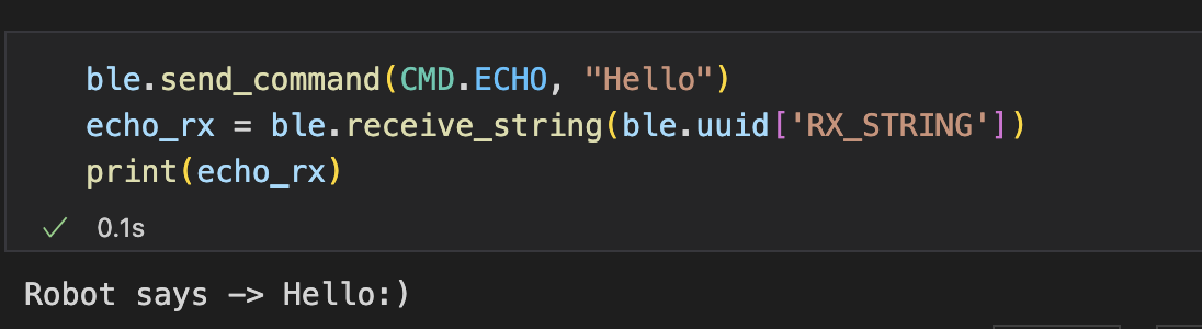 echo command output